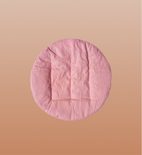 Heatable Cookie Plush (Preorder)